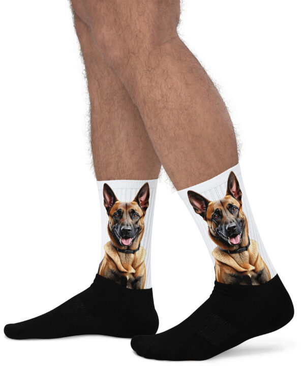 Chaussettes Malinois